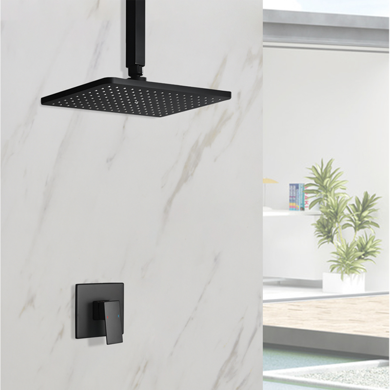Nel bagno nascosto a parete ru - Shower Arm Ceiling Mount Brass Chrome recensione e prezzo